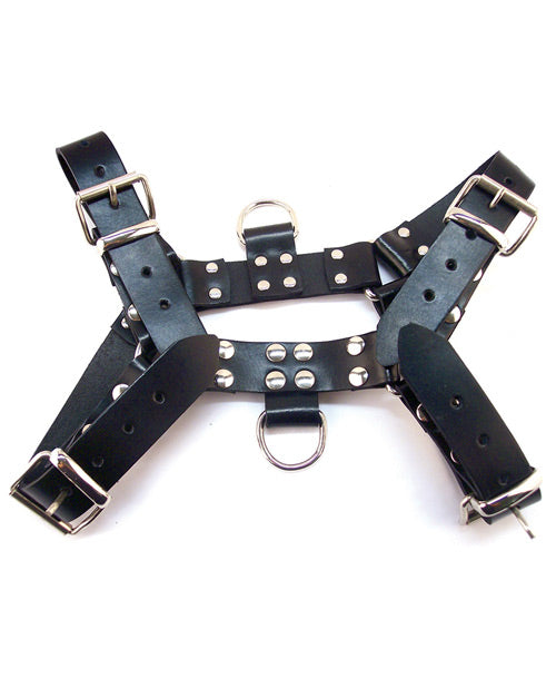 Rouge Over The Head Harness - Casual Toys