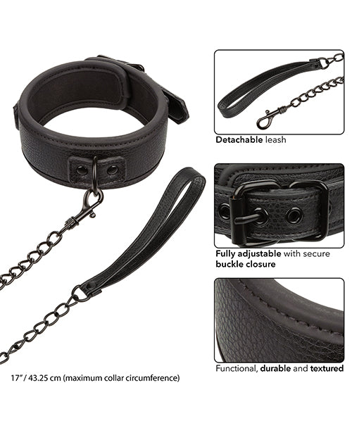 Nocturnal Collection Detachable Collar & Leash - Black