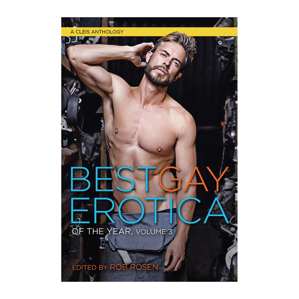 Best Gay Erotica of the Year, Volume 3 - Casual Toys