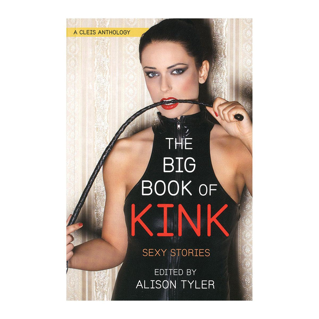 Big Book of Kink - Casual Toys