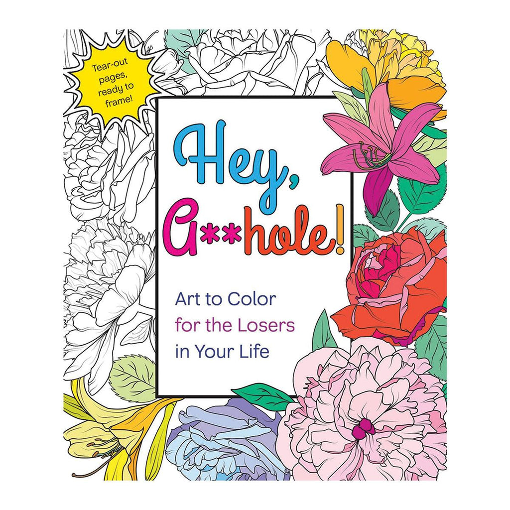 Hey A**hole Coloring Book - Casual Toys