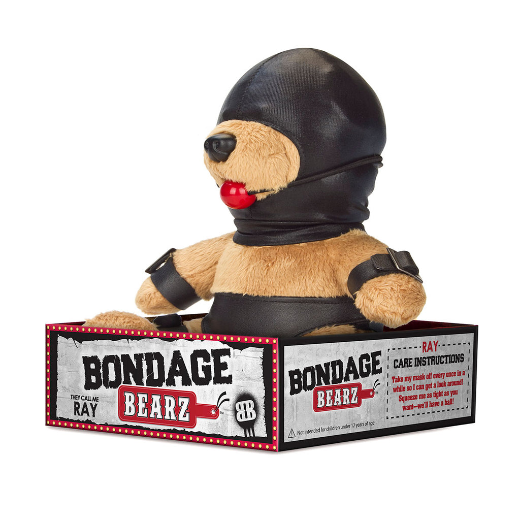 Bondage Bearz - Gary Bear Ball Gag - Casual Toys