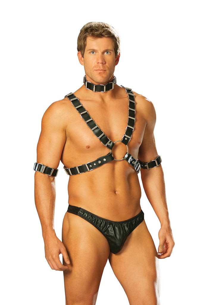 4 Pc Mens Set Harness & Collar - Casual Toys