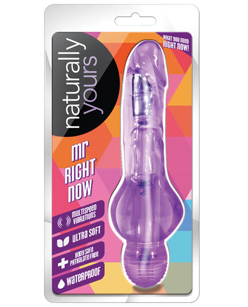 Blush Naturally Yours Mr Right Now - Casual Toys
