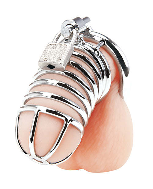 Blue Line Deluxe Chastity Cage - Silver - Casual Toys