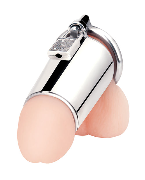 Blue Line Ultimate Cock Tease Cage - Silver - Casual Toys
