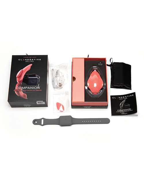Clandestine Devices Companion Panty Vibe W-wearable Remote - Coral - Casual Toys