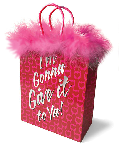 I'm Gonna Give It To Ya! Gift Bag - Casual Toys