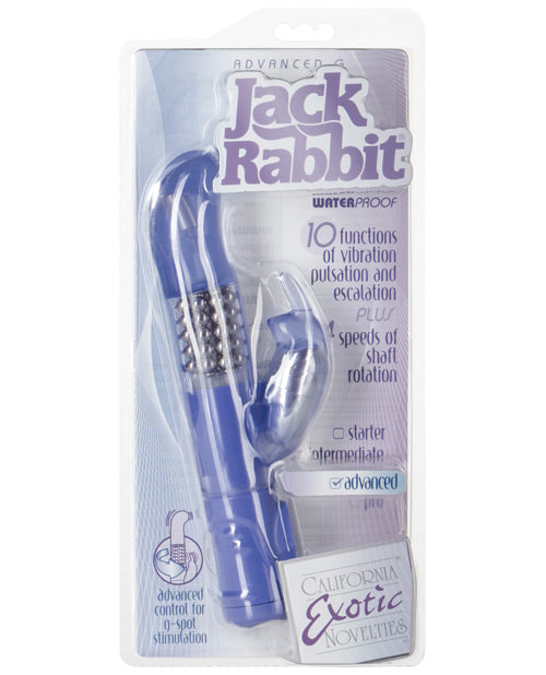 Jack Rabbits Advanced G - Casual Toys