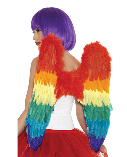 Rainbow Large Feather Wings - Casual Toys
