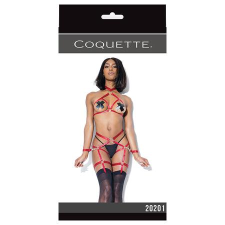 Darque Harness Top And Crotchless Panty Merlot - Casual Toys